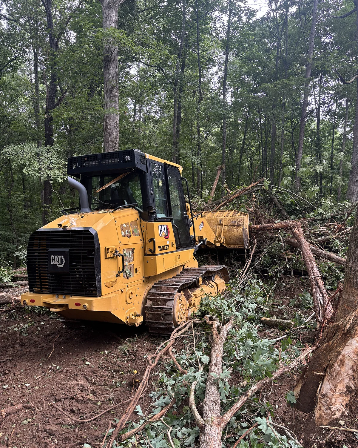 Demolition & Site Cleanup